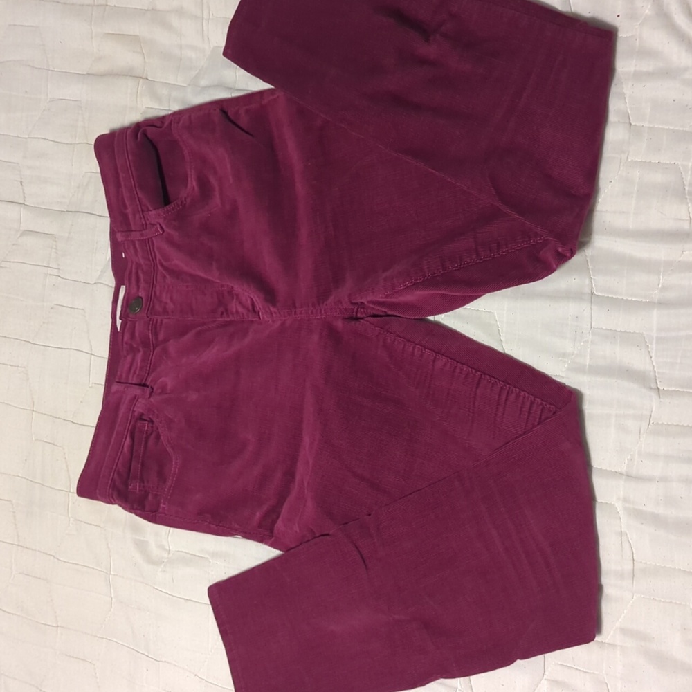 Fuchsia corduroy jeggings Ann Taylor Loft 6p